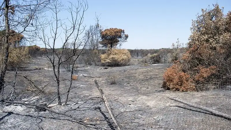 Avista National Park Damage Fine